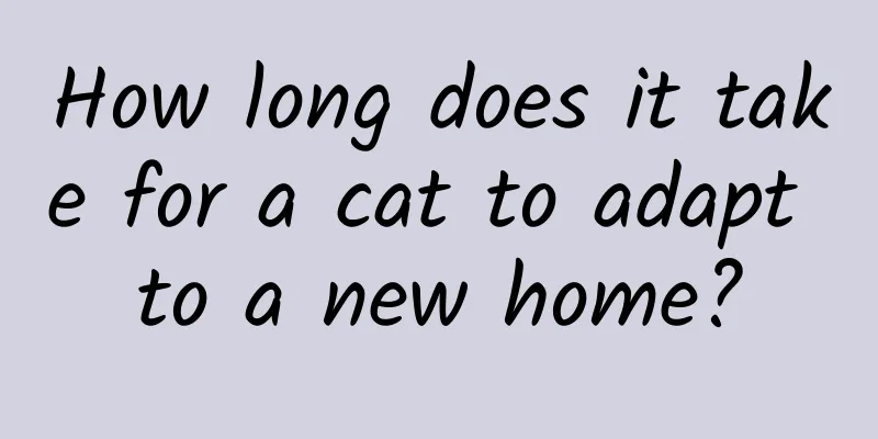 How long does it take for a cat to adapt to a new home?