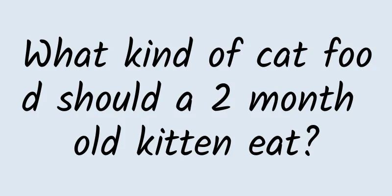 What kind of cat food should a 2 month old kitten eat?