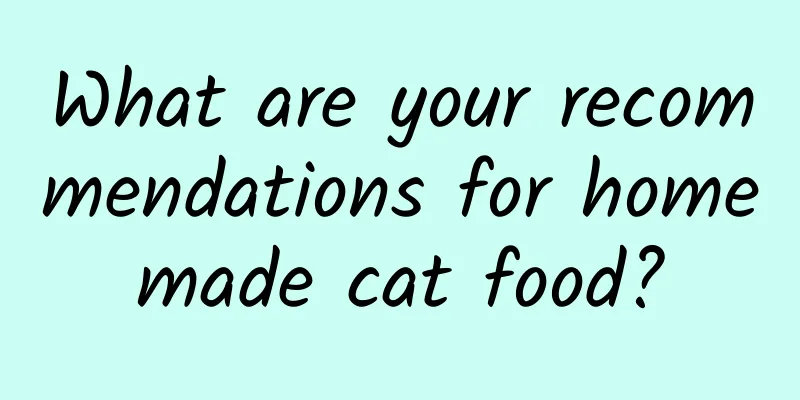 What are your recommendations for homemade cat food?