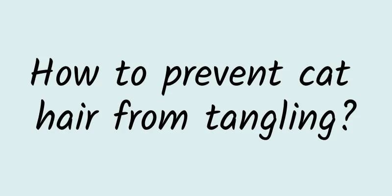 How to prevent cat hair from tangling?