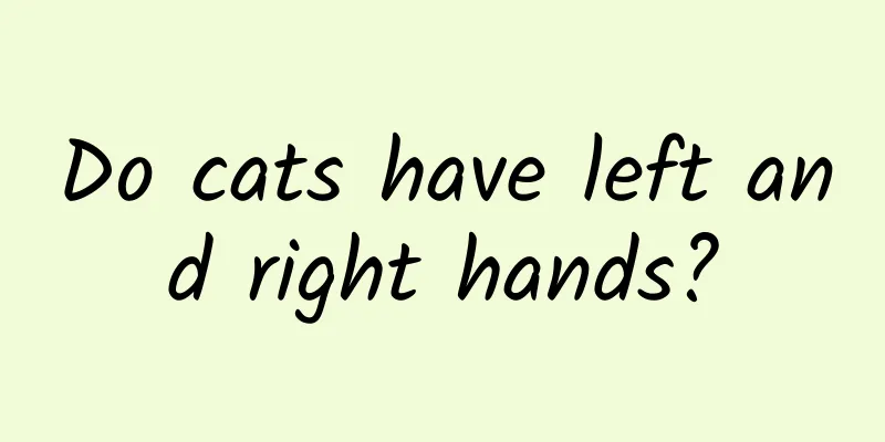 Do cats have left and right hands?