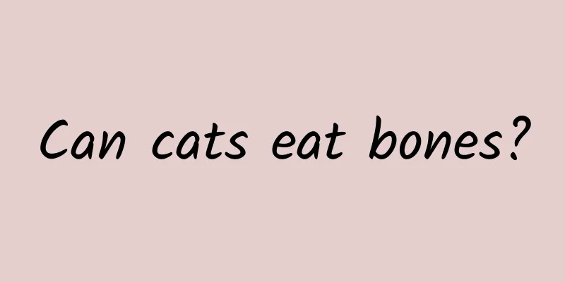 Can cats eat bones?