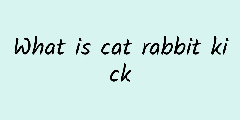 What is cat rabbit kick