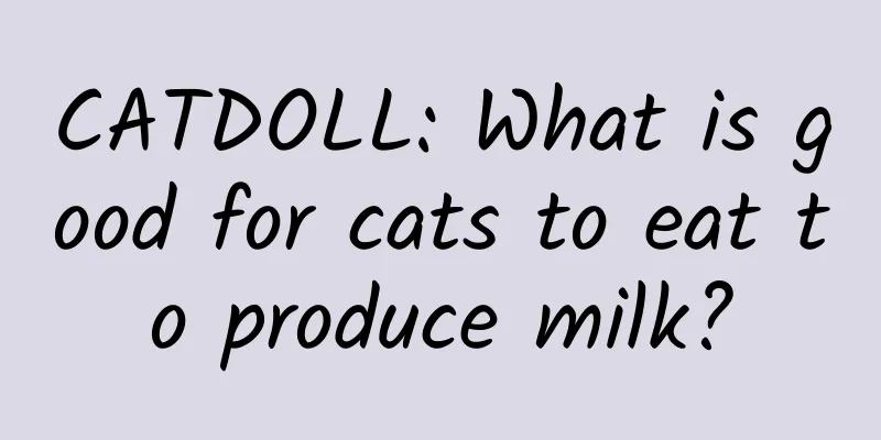 CATDOLL: What is good for cats to eat to produce milk?