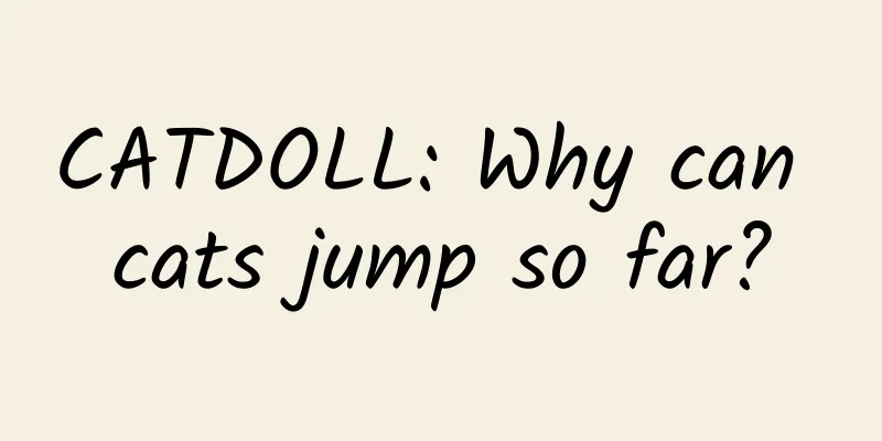 CATDOLL: Why can cats jump so far?