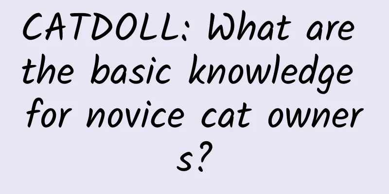 CATDOLL: What are the basic knowledge for novice cat owners?