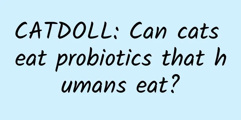 CATDOLL: Can cats eat probiotics that humans eat?