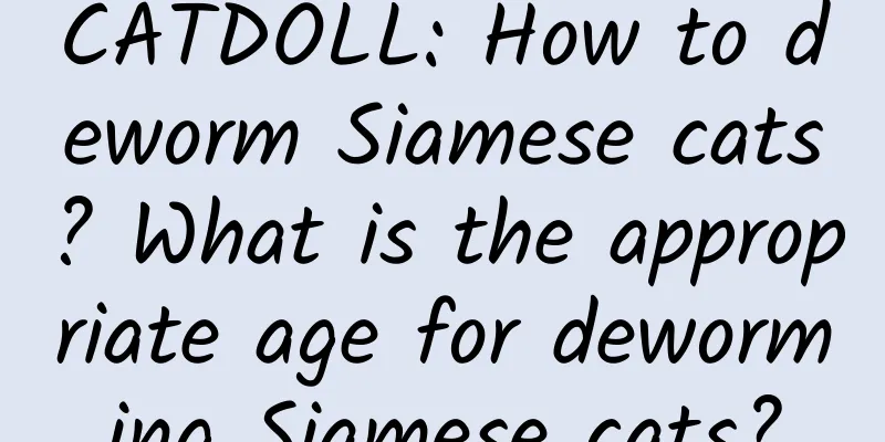 CATDOLL: How to deworm Siamese cats? What is the appropriate age for deworming Siamese cats?