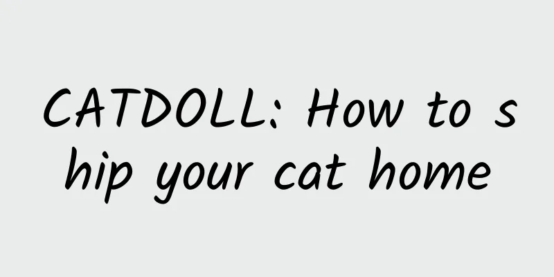 CATDOLL: How to ship your cat home