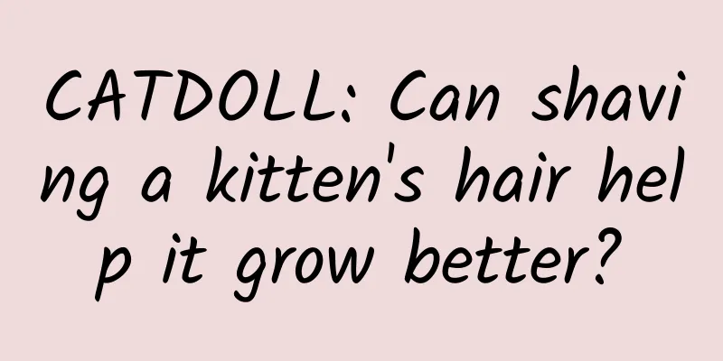 CATDOLL: Can shaving a kitten's hair help it grow better?