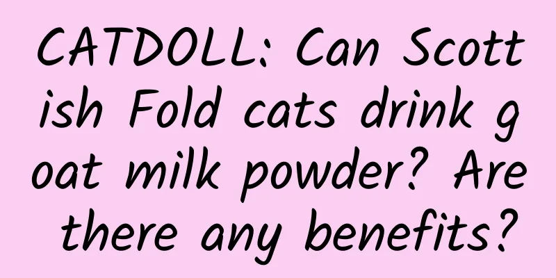 CATDOLL: Can Scottish Fold cats drink goat milk powder? Are there any benefits?