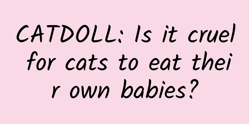 CATDOLL: Is it cruel for cats to eat their own babies?