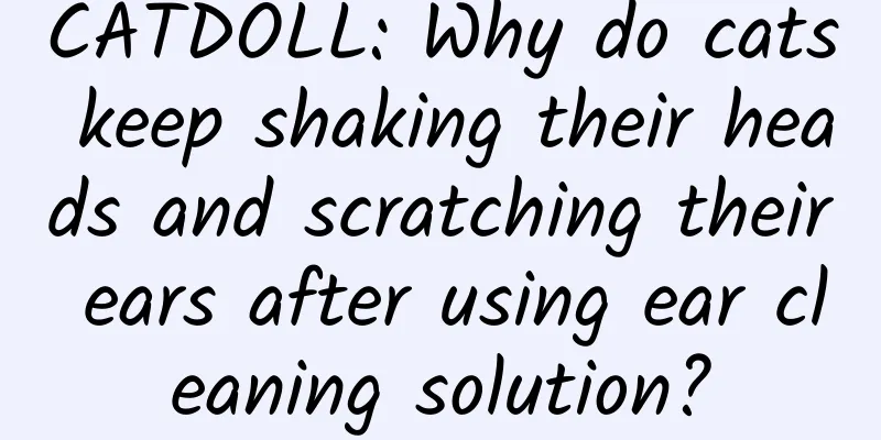 CATDOLL: Why do cats keep shaking their heads and scratching their ears after using ear cleaning solution?