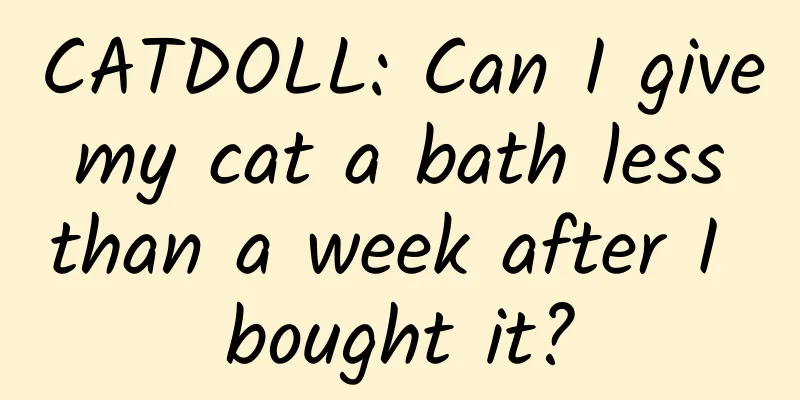 CATDOLL: Can I give my cat a bath less than a week after I bought it?