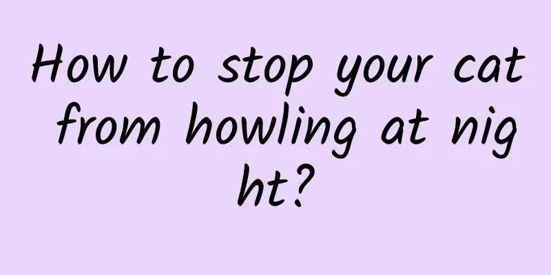 How to stop your cat from howling at night?