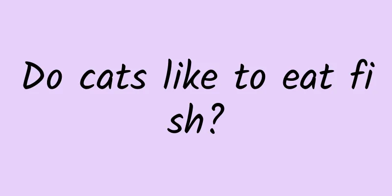 Do cats like to eat fish?