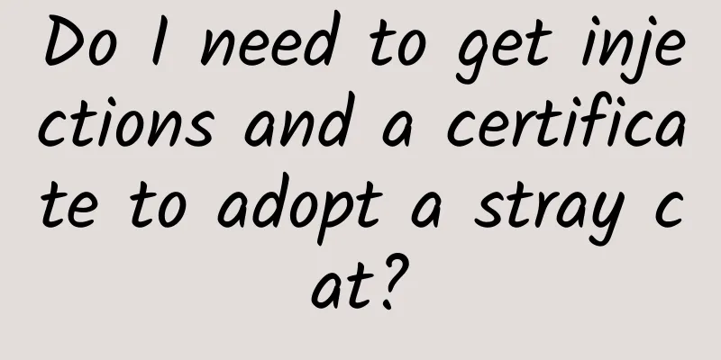 Do I need to get injections and a certificate to adopt a stray cat?
