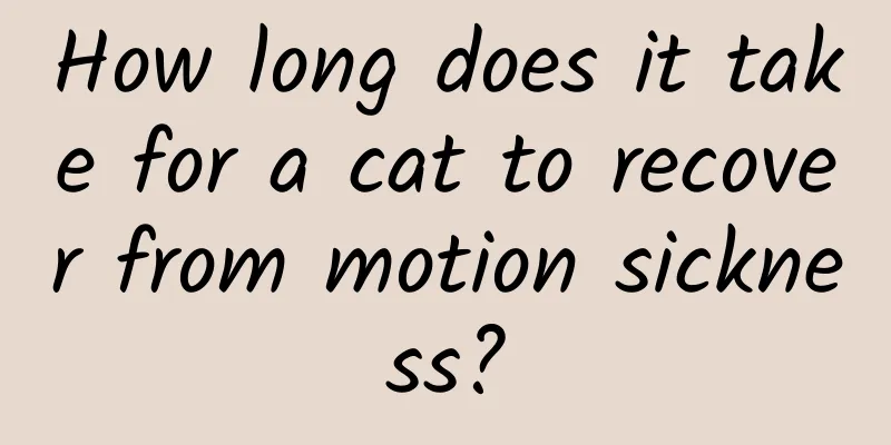 How long does it take for a cat to recover from motion sickness?