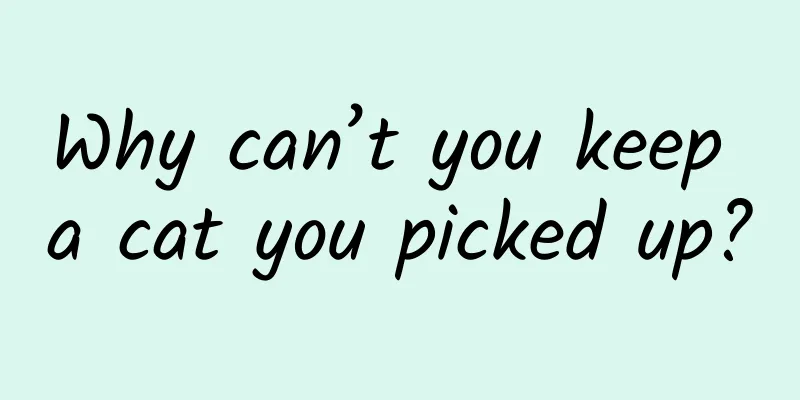 Why can’t you keep a cat you picked up?