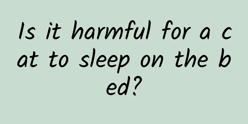 Is it harmful for a cat to sleep on the bed?