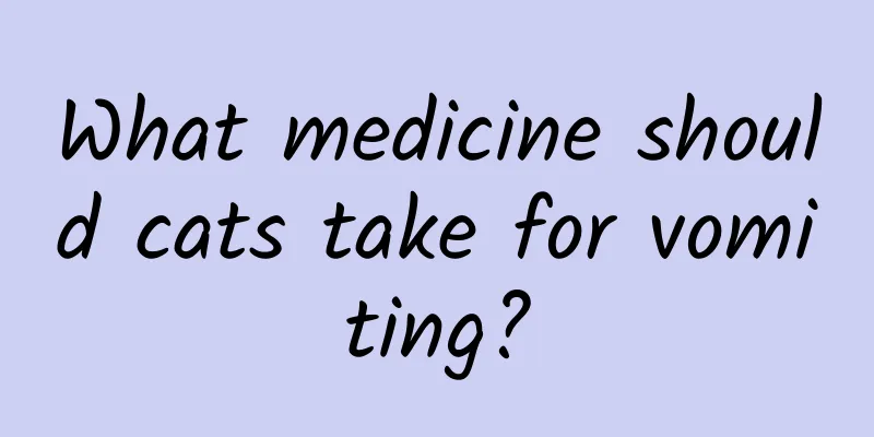 What medicine should cats take for vomiting?