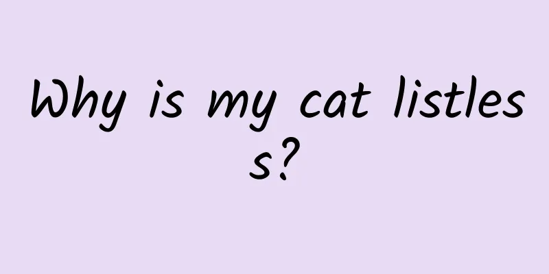 Why is my cat listless?