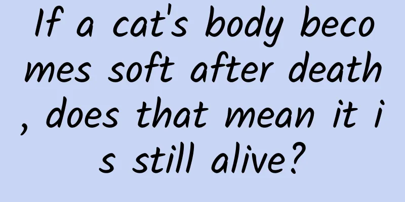 If a cat's body becomes soft after death, does that mean it is still alive?