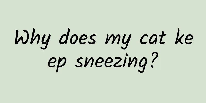 Why does my cat keep sneezing?