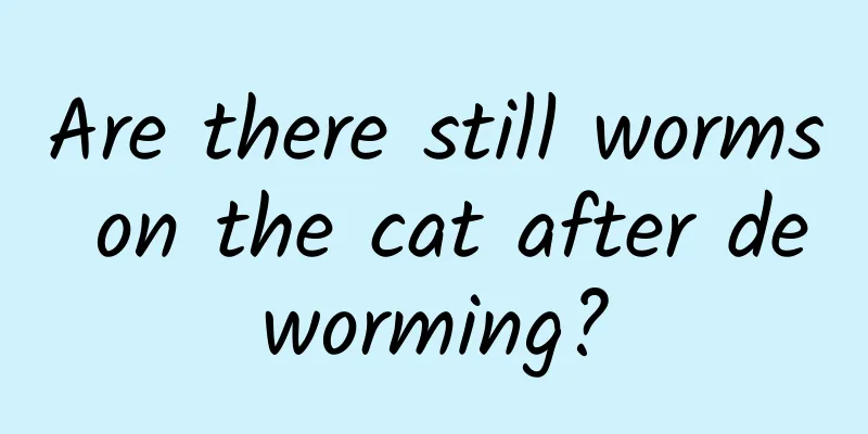 Are there still worms on the cat after deworming?