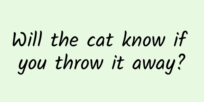 Will the cat know if you throw it away?