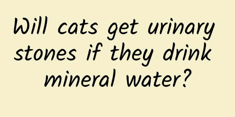 Will cats get urinary stones if they drink mineral water?