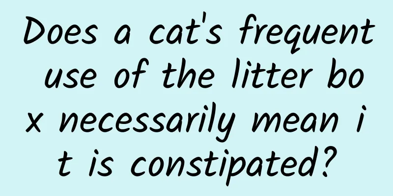 Does a cat's frequent use of the litter box necessarily mean it is constipated?