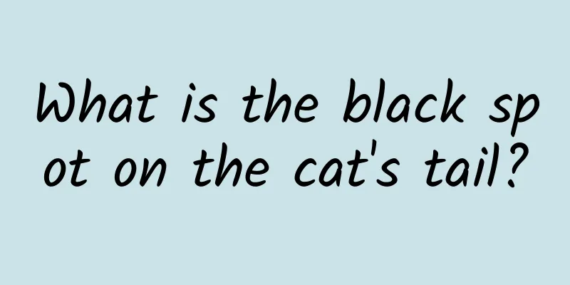 What is the black spot on the cat's tail?