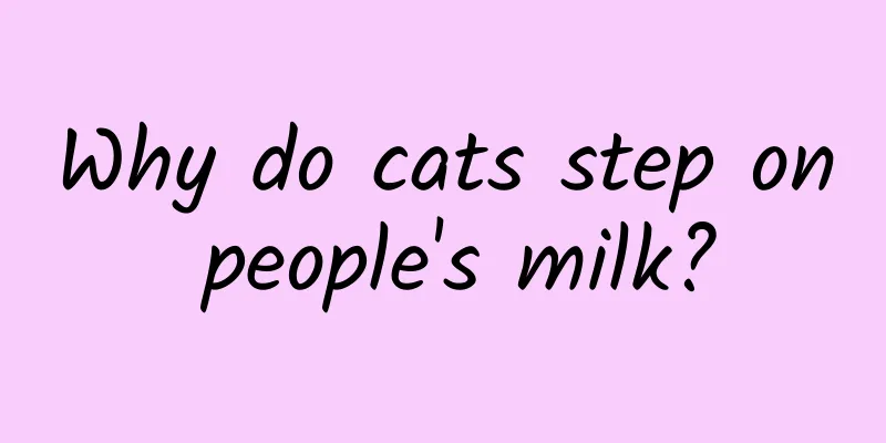 Why do cats step on people's milk?