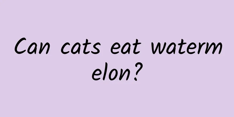 Can cats eat watermelon?