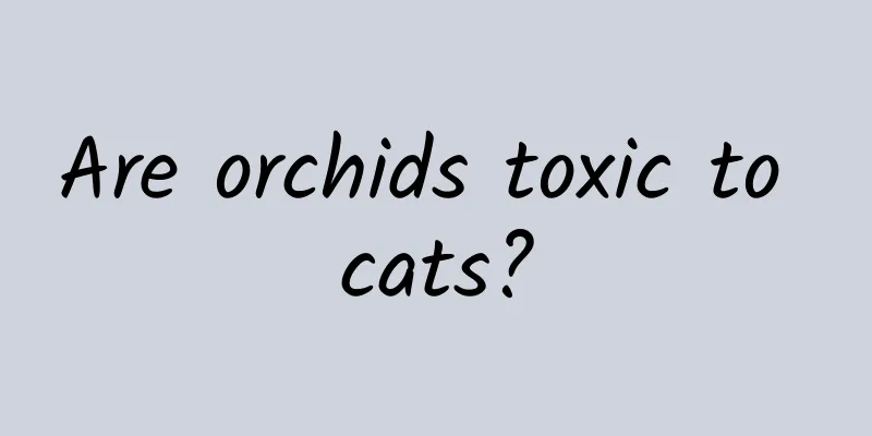 Are orchids toxic to cats?