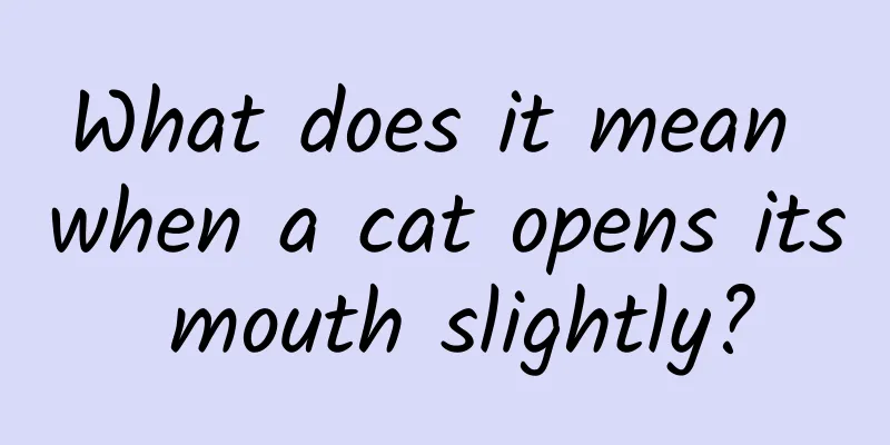 What does it mean when a cat opens its mouth slightly?