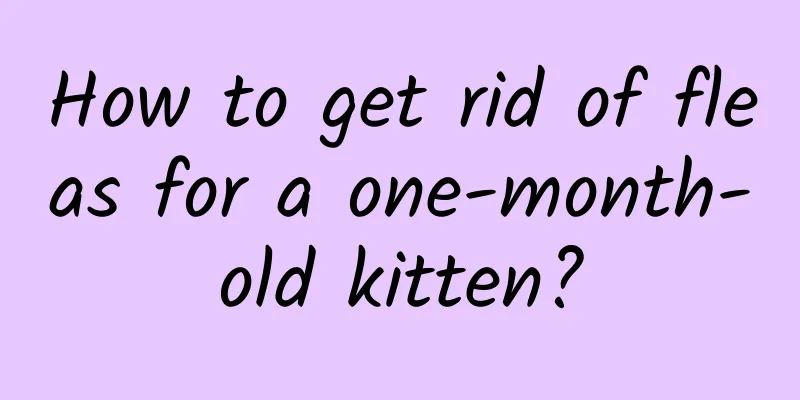 How to get rid of fleas for a one-month-old kitten?