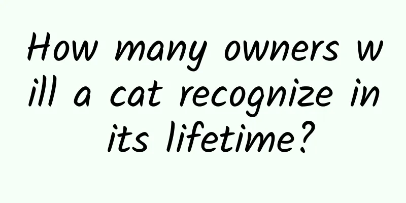 How many owners will a cat recognize in its lifetime?