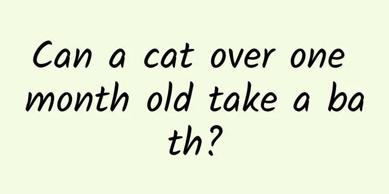 Can a cat over one month old take a bath?