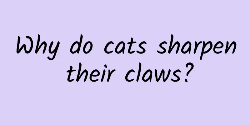 Why do cats sharpen their claws?