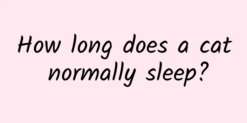 How long does a cat normally sleep?