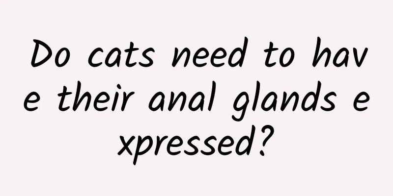 Do cats need to have their anal glands expressed?