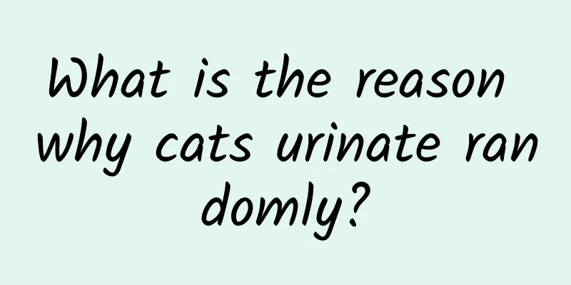 What is the reason why cats urinate randomly?