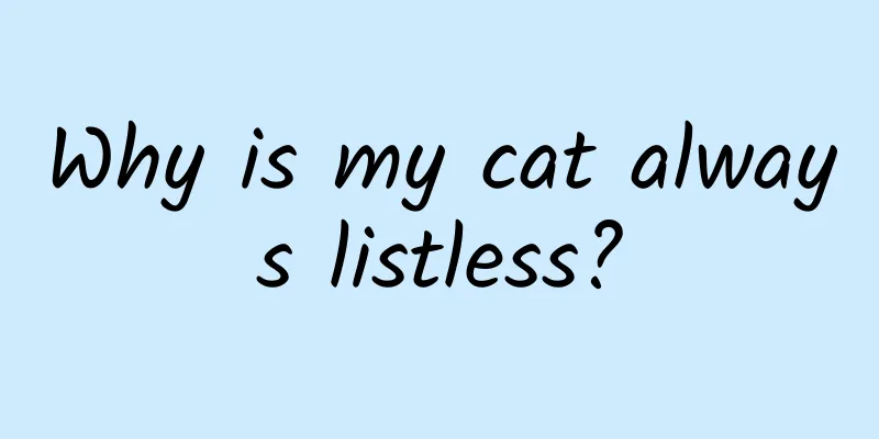 Why is my cat always listless?