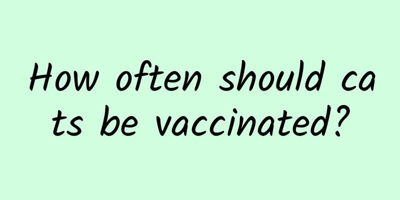 How often should cats be vaccinated?
