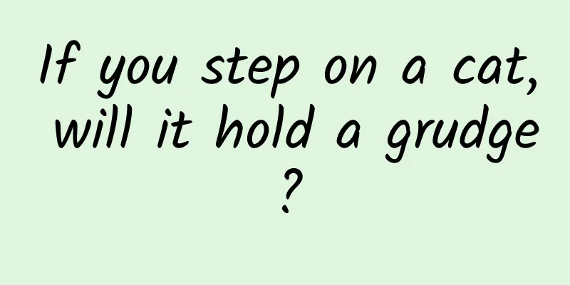 If you step on a cat, will it hold a grudge?