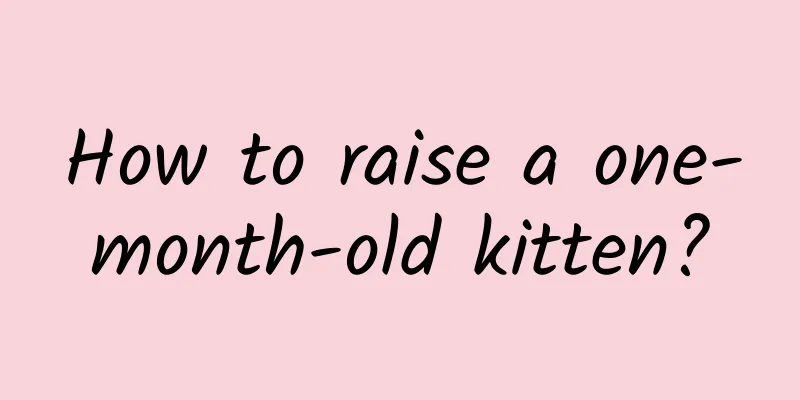 How to raise a one-month-old kitten?