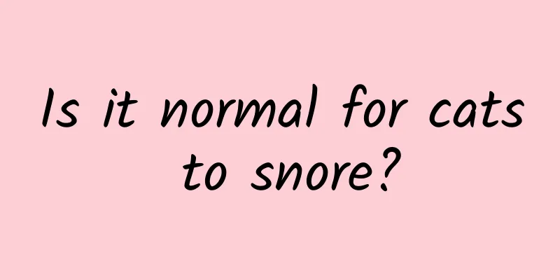 Is it normal for cats to snore?