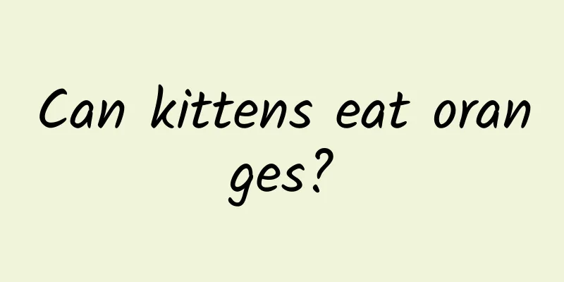 Can kittens eat oranges?